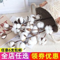 Natural cotton dried flower bouquet desktop decoration ornaments real flower shooting props simulation kapok flower arrangement hipster