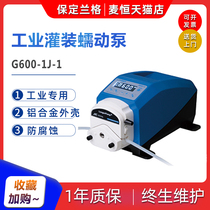 Baoding Lange G300-1E G300-1J G600-1J-1 industrial peristaltic pump anti-corrosion aluminum alloy shell IP65