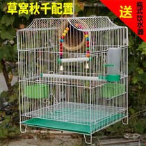 Bird cage Xuanfeng starling Wren parrot Tiger skin thrush bird cage Pigeon cage Large breeding breeding cage Province