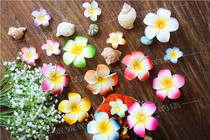 Bride Headwear Holiday Eggplant Hair Corn Korean Hair Accessories Korean version of shooting props Hairband wristlet