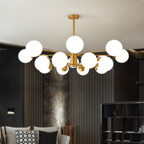 Living room lamp chandelier modern simple atmosphere home Net red headlight restaurant chandelier magic bean molecular lamp Nordic lamp