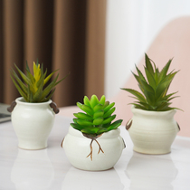 Desktop mini fake flower potted ornaments simulation fleshy green plant fake flower small bonsai living room decorative plant ceramic basin