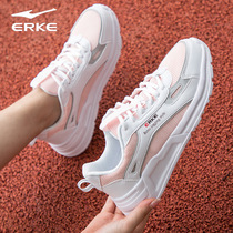 Hongxing Erke womens shoes 2021 new summer mesh breathable casual shoes spring and autumn daddy shoes sneakers women
