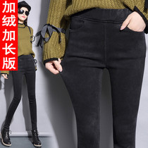 Extended version of velvet leggings women wear high 175 high waist tight pencil pants stretch spring and autumn new 170