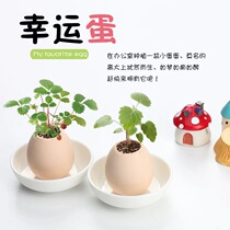 Novelty lucky egg potted radiation-proof grass eggshell green plant student office desktop environmental protection plant discount