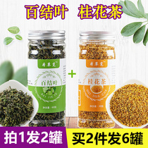 Baijie leaf and sweet osmanthus tea Baijie leaf Baijie leaf Baijie leaf louver knot plus Changbai mountain Baijie rock cinnamon tea
