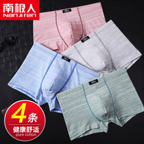 South Pole Mens underpants male junior boys Junior high school boy teenagers flat corner pants high school student male child 4-4