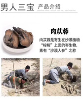 Alxa Cistanche deserticola whole root Inner Mongolia special Cynomorium Epimedium non-wild Chinese herbal medicine male sparkling wine
