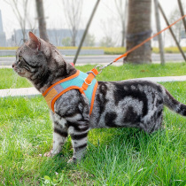 Kitty Traction Rope Cat Special Walk Cat Rope Anti-Escape Walking Cat Tether Tethered Cat Cord Cat Chain Subcat Rope Traction Cat