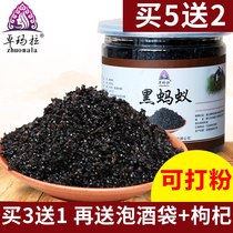 Buy 3 get 1 free Changbaishan black ant dry quasi-black spiny ant bubble wine material Changbaishan big black ant powder