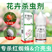 Monthly Season Flowers Insecticide Red Spider Special Drug Flower Insecticide Botanical Lunar Season Flowers Commonly Used Medicine Insect Repellent For Home Use