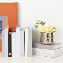 Modern minimalist model house soft decorations minimalist English solid color simulation bookcase porch fake book props ornaments