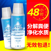 Fish tank nitrifying bacteria water agent living bacteria water quality aquarium clarifying agent fish tank water purifying agent nitrifying bacteria photosynthetic nitrifying bacteria