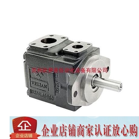 T6C-020-1R00-B1 Oil pump _ Virgin VELJAN hydraulic pump VT67CB-B05-B03-1ROO-C1