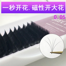 Double layer of flowering grafted eyelash Mountain tea flower Magnetic automatic flowering thick and dense natural soft superferrets 0 05