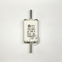 Positive Ho NT1 gL 100A 160A 160A 200A 500V 500V fuse Core fuse