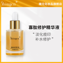 Shingen Zhenyuan Oligopeptide Extract Essence Small golden bottle Nourishing repair hydrating Garden source skin facial essence