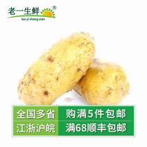 (Old One Fresh) Fresh Vegetables Fresh Potatoes 500g
