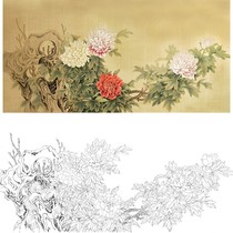Gongbi painting white sketch background draft peony Chu Yanchun retro style flowers and birds hook line physical print draft size optional CY14