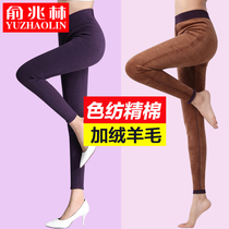 Warm pants Womens thickened velvet pants Autumn pants line pants Underwear inner wear leggings wool pants Cotton pants pants autumn and winter