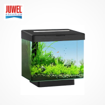 German black diamond glass small fish tank Rectangular living room creative desktop small ecological aquarium free water lazy person