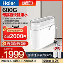 Haier Water Purifier Top Ten Brands Household Direct Drinking Machine Tap Water Filter Reverse Osmosis Water Purifier HRO6H79