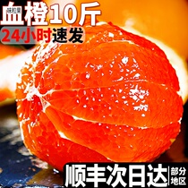 Blood orange fresh fruit 10 catty Chinese red orange zest fresh fruit when season full box Snow orange gift box loading Shunfeng