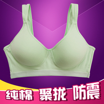 Sports bra without rims Pure cotton gathered small chest mm high-strength running underwear shockproof vest style girl Japan