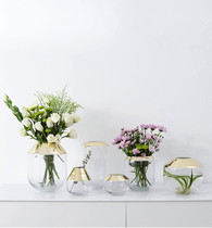 Bixuan glass vase transparent living room flower arrangement ornaments Creative gold Modern simple home American style