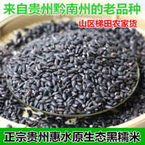 Guizhou authentic Huishui black glutinous rice plateau pure black glutinous rice farmhouse old variety high pole purple all black fragrant glutinous rice 500g