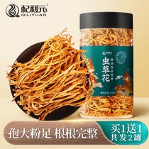 Buy 1 send 1 Cordyceps flower Qiliyuan Cordyceps flower dried goods spores Cordyceps militaris Cordyceps sinensis soup material