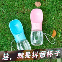 Pet dog accompanying water cup outing supplies outdoor drinking water feeding water drinking fountain Teddy portable water bottle water bottle