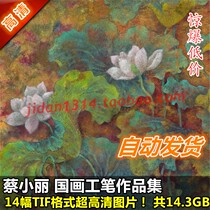 National painting ultra high Qing Photo Cai Xiaolis work painting collection 14 complete lotus design material for painting and decoration spray painting