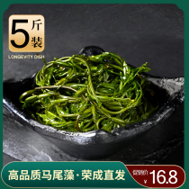 Rongcheng Sargasso firecracker bamboo shoots fresh seaweed hog vegetable hot pot seaweed 5kg longevity vegetable export grade salt