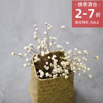 Clearance Special Price Small Fresh Natural Dried Flowers Brazilian Imported Mini Star Flower Little Daisy Photography Prop Setup