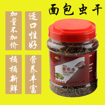 Breadworm dried golden arowas blood parrot Luohan fish food dragon fish tortoise tortoise bird staple food golden bear hedgehog hamster feed