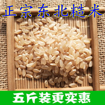 Northeast farmhouse brown rice 5kg brown rice new rice brown rice coarse grain grain rice can germinate