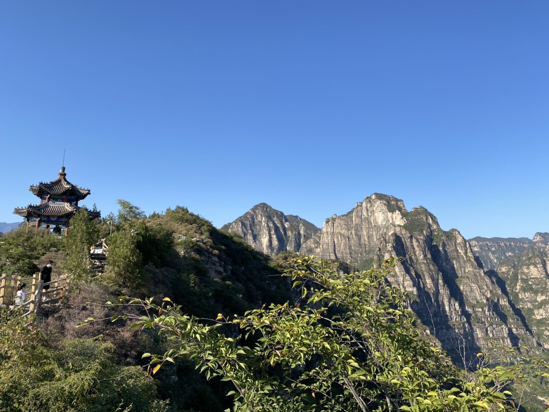 Фото отзыва