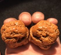 Wild open back golden toad pimple bag Toad head lion head full of Yin skin three-sided Wen play walnut play walnut play low pile Special