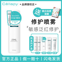 (Official) Korea Cellapy skin spray moisturizing moisturizing repair barrier sensitive muscle available