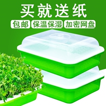 Hair Bean Sprout Special Basin Bean Sprout Germination Basin Pea Sprout Cultivation Pan Fresh Vegetable Water Bacon Sprouts Seedling Vegetable Seedling Pan