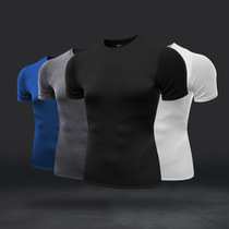 Sports tights mens short-sleeved running training fitness clothes Breathable quick-drying boxing sanda fight casual T-shirt