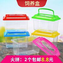 Ornamental fish cylinder turtle box hamster Reptile Snail Corner Frog Transparent Plastic Acrylic Rearing Box Small Pet Box