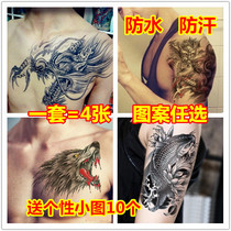 Tattoo stickers waterproof male long-lasting flower arm ins Wind dark black line is not a year over the shoulder dragon simulation tattoo stickers