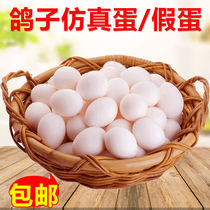 Pigeon supplies Fake pigeon eggs Simulation pigeon eggs Carrier pigeon supplies water injection fake eggs Solid plastic fake eggs Water injection pigeon eggs