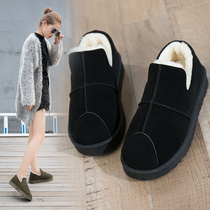 Cotton shoes womens 2020 new winter shoes plus velvet wild Korean version of student winter boots warm boots snow boots