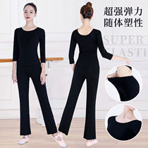 Dance practice suit Womens suit Adult professional body pants Student art examination training suit top Chinese dance Modern dance