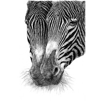 (Mounted) Huang Zhenhuang Double paper new pen drawing with group photo