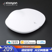 Xiaoyan Smart Home Gateway Home Smart Center siri Voice Control Bridge Apple homekit Certification