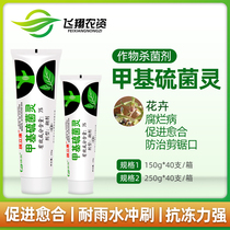 Membrane Likang 3% Thiomyl methyl plant orchid incision protection germicidal protective agent wound healing agent spread agent